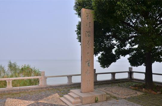 564.jpg